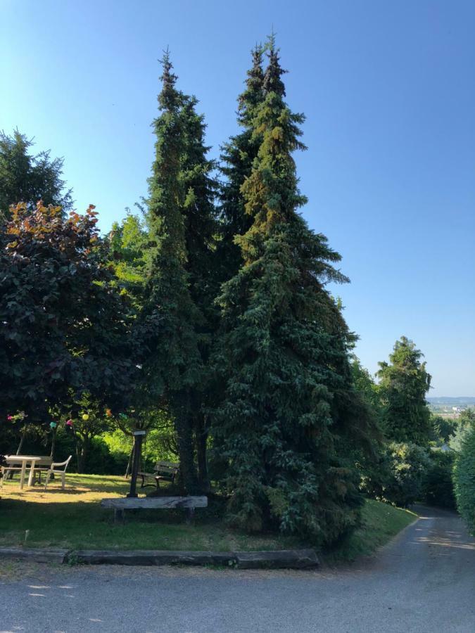 Aux Lettres Du Lavoir La Rivière-Saint-Sauveur エクステリア 写真